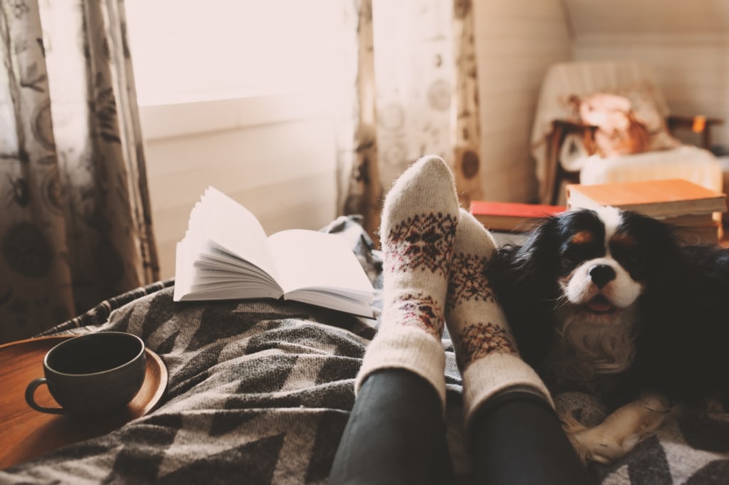 Feet with wool socks on a bed next to dog, book, and mug