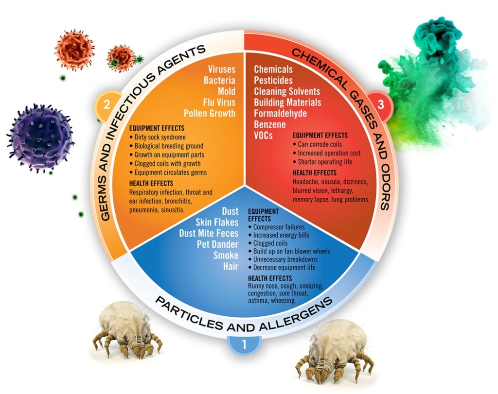 Graph detailing indoor air quality contaminants including germs and infectious agents, chemical gasses and odors, and particles and allergens.